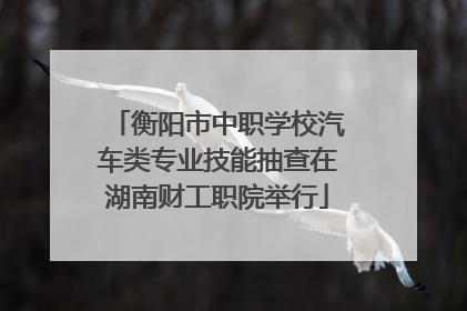 衡阳市中职学校汽车类专业技能抽查在湖南财工职院举行