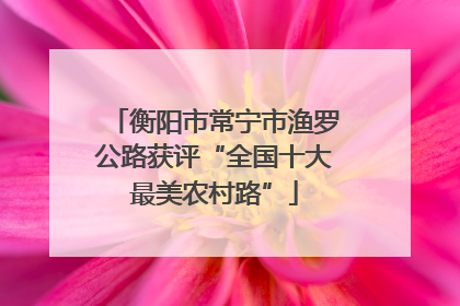 衡阳市常宁市渔罗公路获评“全国十大最美农村路”