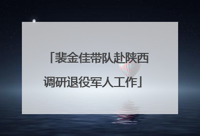 裴金佳带队赴陕西调研退役军人工作