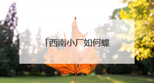 西南小厂如何蝶变为领军企业