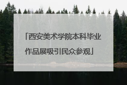 西安美术学院本科毕业作品展吸引民众参观