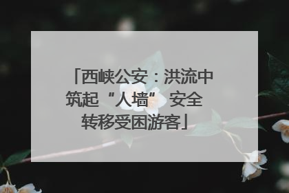 西峡公安：洪流中筑起“人墙” 安全转移受困游客