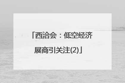西洽会：低空经济展商引关注(2)
