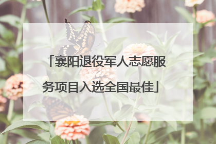 襄阳退役军人志愿服务项目入选全国最佳