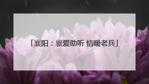 襄阳：襄爱助听 情暖老兵