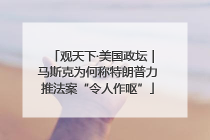 观天下·美国政坛｜马斯克为何称特朗普力推法案“令人作呕”