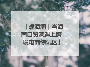观海潮｜当海南自贸港遇上跨境电商综试区