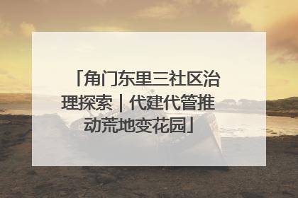 角门东里三社区治理探索｜代建代管推动荒地变花园