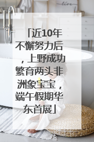 近10年不懈努力后，上野成功繁育两头非洲象宝宝，端午假期华东首展