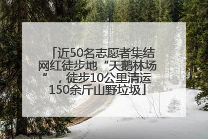 近50名志愿者集结网红徒步地“天鹅林场”，徒步10公里清运150余斤山野垃圾
