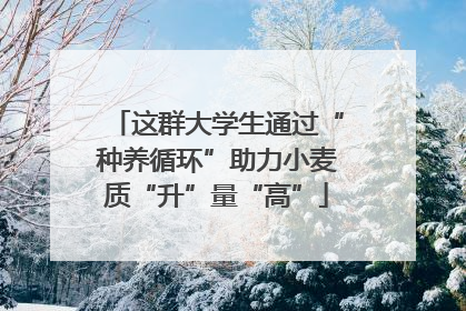 这群大学生通过“种养循环”助力小麦质“升”量“高”