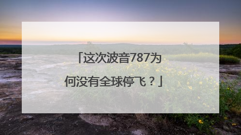 这次波音787为何没有全球停飞？