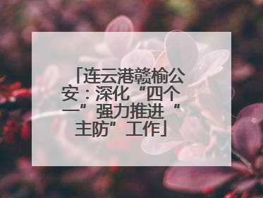 连云港赣榆公安：深化“四个一”强力推进“主防”工作
