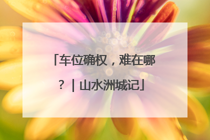 车位确权，难在哪？｜山水洲城记