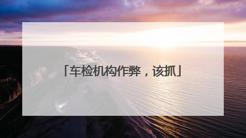车检机构作弊，该抓