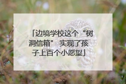 边境学校这个“树洞信箱” 实现了孩子上百个小愿望