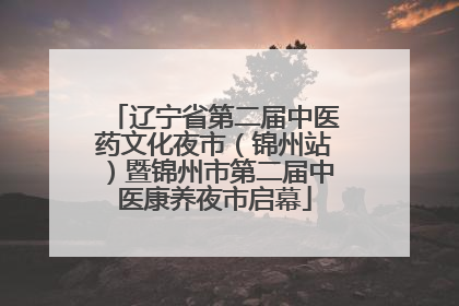 辽宁省第二届中医药文化夜市（锦州站）暨锦州市第二届中医康养夜市启幕