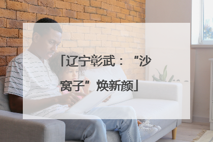 辽宁彰武：“沙窝子”焕新颜