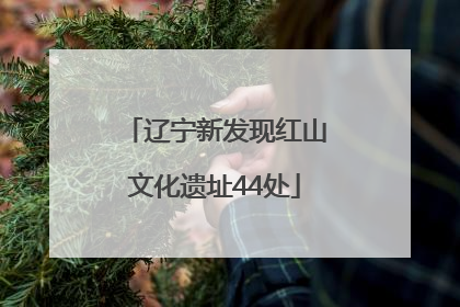 辽宁新发现红山文化遗址44处