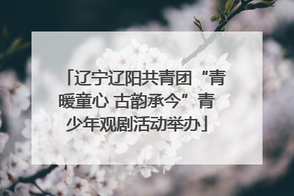 辽宁辽阳共青团“青暖童心 古韵承今”青少年观剧活动举办