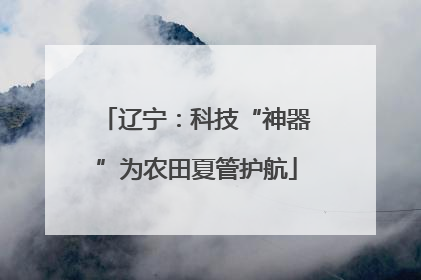 辽宁：科技“神器”为农田夏管护航