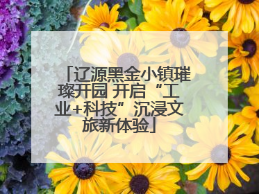 辽源黑金小镇璀璨开园 开启“工业+科技”沉浸文旅新体验