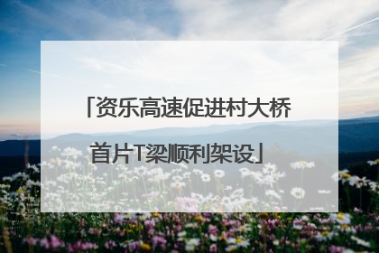 资乐高速促进村大桥首片T梁顺利架设