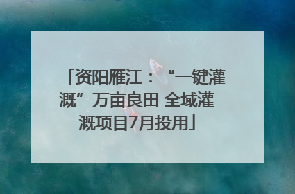 资阳雁江：“一键灌溉”万亩良田 全域灌溉项目7月投用