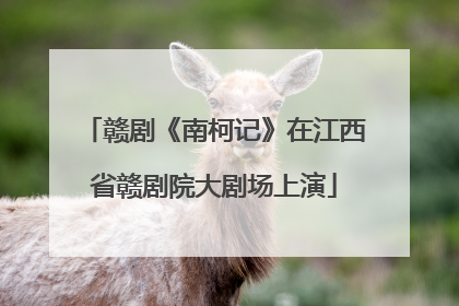 赣剧《南柯记》在江西省赣剧院大剧场上演