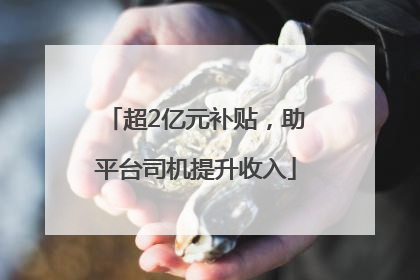 超2亿元补贴，助平台司机提升收入