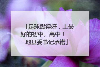 足球踢得好，上最好的初中、高中！一地县委书记承诺