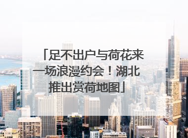 足不出户与荷花来一场浪漫约会！湖北推出赏荷地图