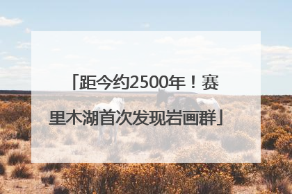 距今约2500年！赛里木湖首次发现岩画群