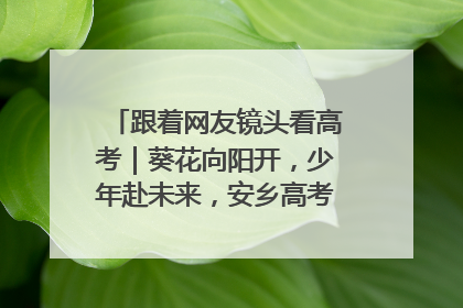跟着网友镜头看高考｜葵花向阳开，少年赴未来，安乡高考首日的希望图景