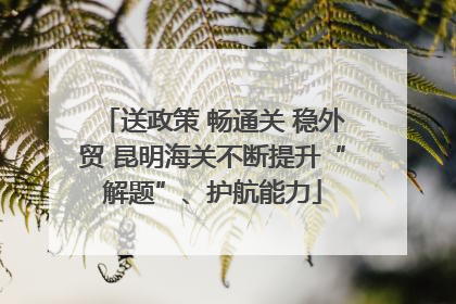 送政策 畅通关 稳外贸 昆明海关不断提升“解题”、护航能力