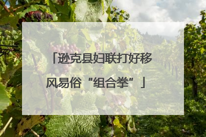 逊克县妇联打好移风易俗“组合拳”