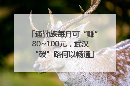 通勤族每月可“赚”80~100元，武汉“碳”路何以畅通