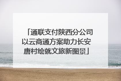 通联支付陕西分公司以云商通方案助力长安唐村绘就文旅新图景