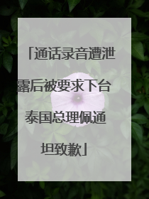 通话录音遭泄露后被要求下台 泰国总理佩通坦致歉
