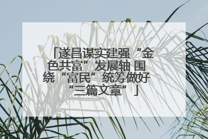 遂昌谋实建强“金色共富”发展轴 围绕“富民”统筹做好“三篇文章”
