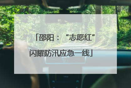 邵阳：“志愿红”闪耀防汛应急一线