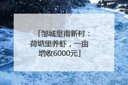 邹城皇甫新村：荷塘里养虾，一亩增收6000元