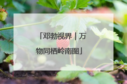 邓勃视界｜万物同栖岭南图
