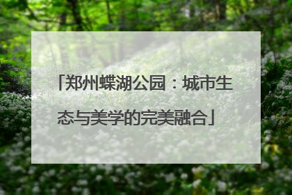 郑州蝶湖公园：城市生态与美学的完美融合