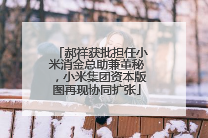 郝祥获批担任小米消金总助兼董秘，小米集团资本版图再现协同扩张