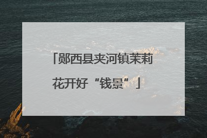郧西县夹河镇茉莉花开好“钱景”