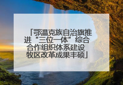 鄂温克族自治旗推进“三位一体”综合合作组织体系建设 牧区改革成果丰硕