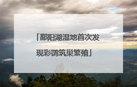 鄱阳湖湿地首次发现彩鹮筑巢繁殖
