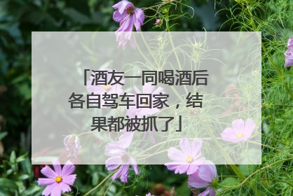酒友一同喝酒后各自驾车回家，结果都被抓了