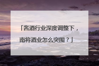 酱酒行业深度调整下，南将酒业怎么突围？